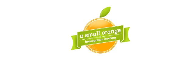 A Small Orange Reviews Logo