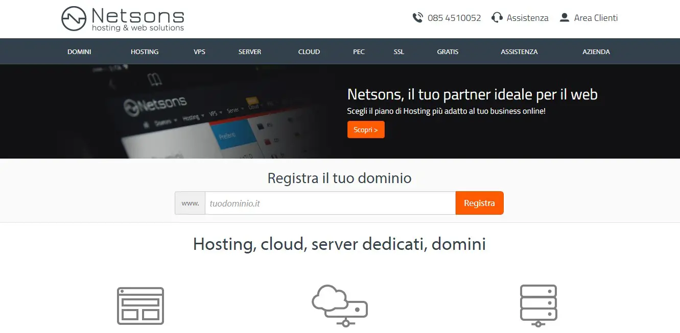 netsons-homepage