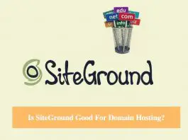 Is SiteGround Good For Domain Name Hosting