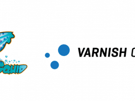 squid vs varnish