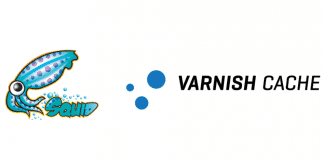 squid vs varnish