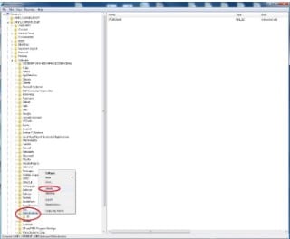 Delete SWActivation folder in registry editor