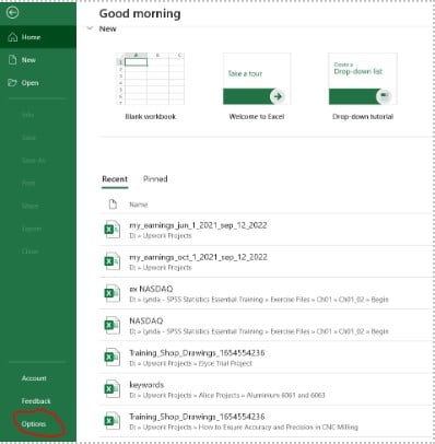 Excel homepage options