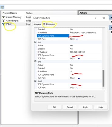 SQL server setup issues