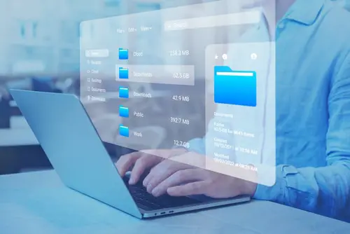 Document management system (DMS) and file manager